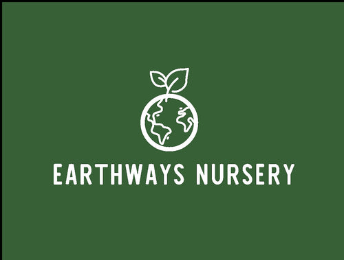 Earthways Nursery